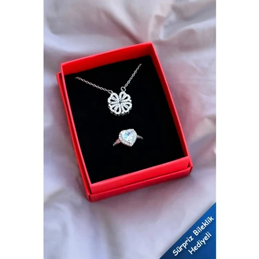 The Collection Zirkon Taşlı Açılır Kapanır Mıknatıslı Çelik Yonca Kolye ve Gümüş Zirkon