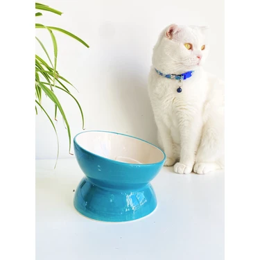 Seramik Yavaş Yeme Kedi Mama Kabı