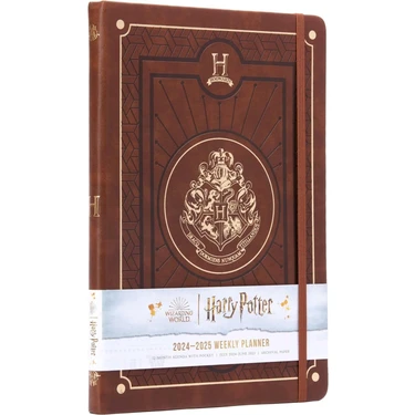 Data Store Potter 2024-2025