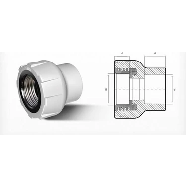 Aesco Ege Yıldız Pprc 40X1 1/4 Dişi Adaptör